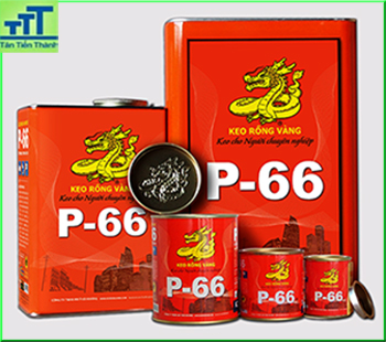 KEO RỒNG VÀNG P-66