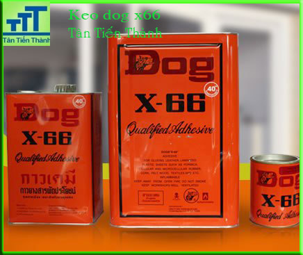 keo dog x66- keo con chó x66