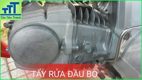 nước vệ sinh đầu bò xe máy pallas