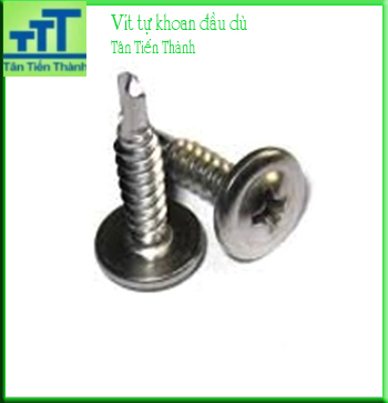 VÍT TỰ KHOAN ĐẦU DÙ